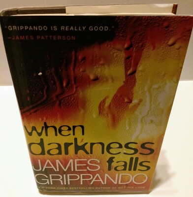When Darkness Falls (Jack Swyteck Novel) by James Grippando 