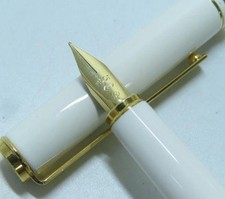 Pilot Fine Point Fountain Pen White Gold Trim Used