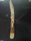 Engraved Case XX Genuine Stag Handle 1977-81 Matching Set #277 — photo 8