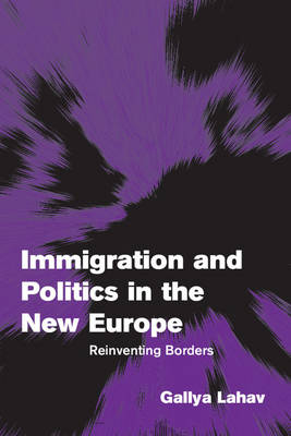 Immigration and Politics in the New Europe Reinventing Borders Lahav Paperback