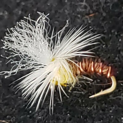 TROUT DRY FLY MIDGE PARANYMPH PMD SIZE 20 CUSTOM TIED FRONTIER FLY COMPANY