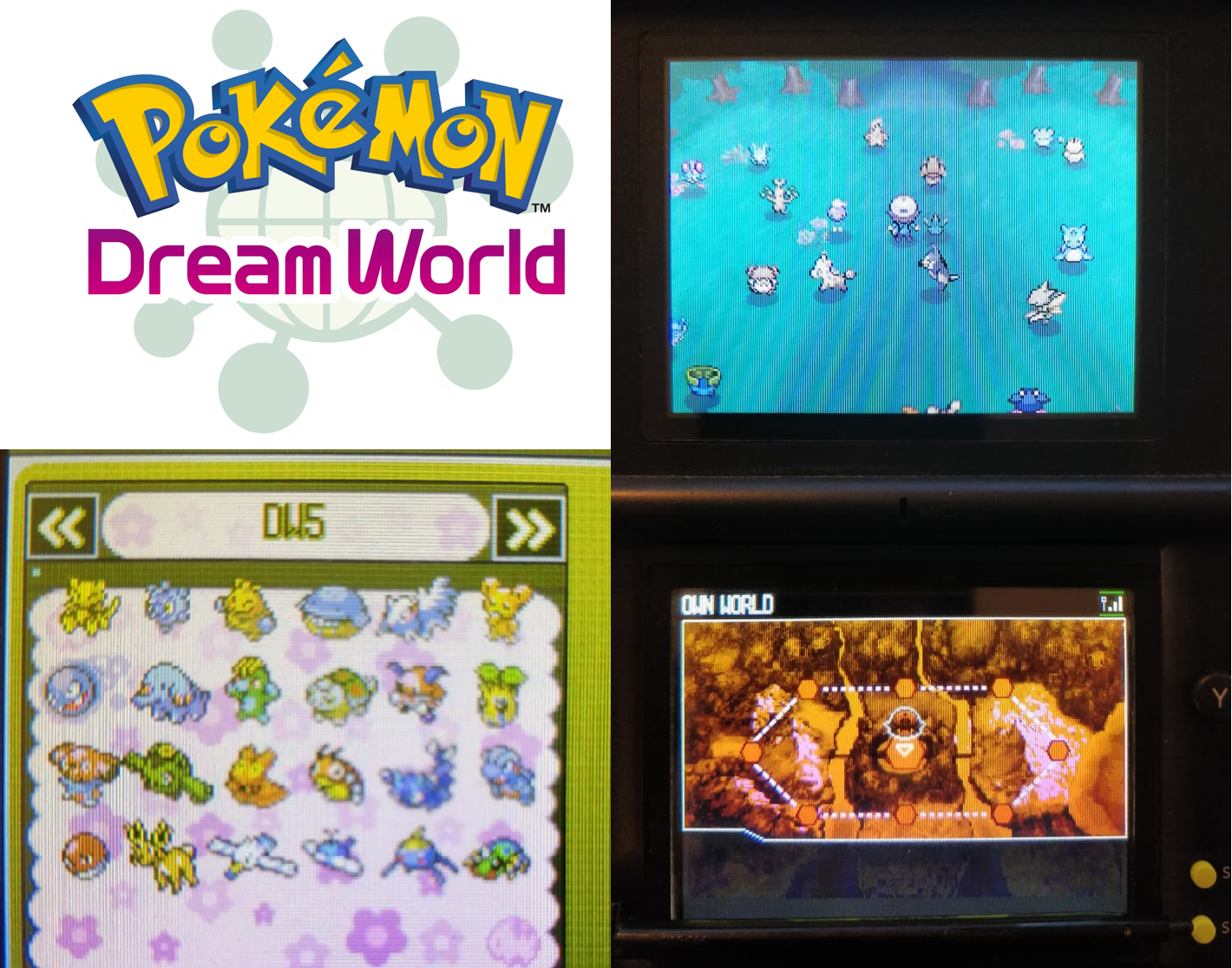 Dream World Pokemon pack: 137 Pokemons from Entree Forest with Hidden  Ability!