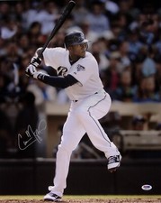 Cameron Maybin Signed Padres Baseball 16x20 Photo PSA/DNA COA Picture Autograph