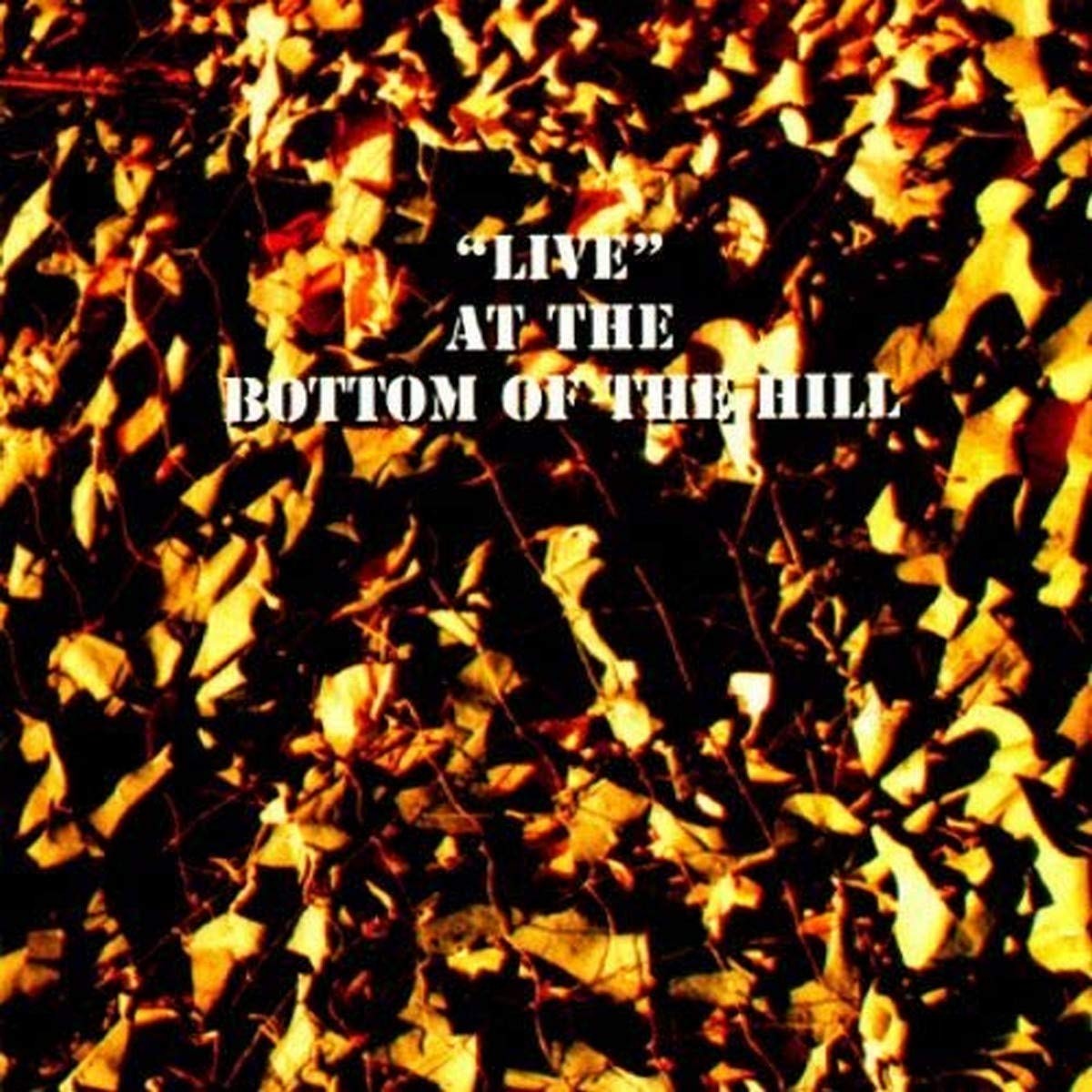 Swingin исполняет концерт в Bottom Of Hill (CD) (ИМПОРТ из Великобритании)