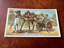 B.A.T. Cigarette Card - Transport Of The World 1917 - West African Camel Cart