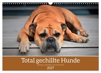 "Calendar 2027 · US Version · Totally Chilled Dogs (Wall Calendar 2027 17\" × 12\""