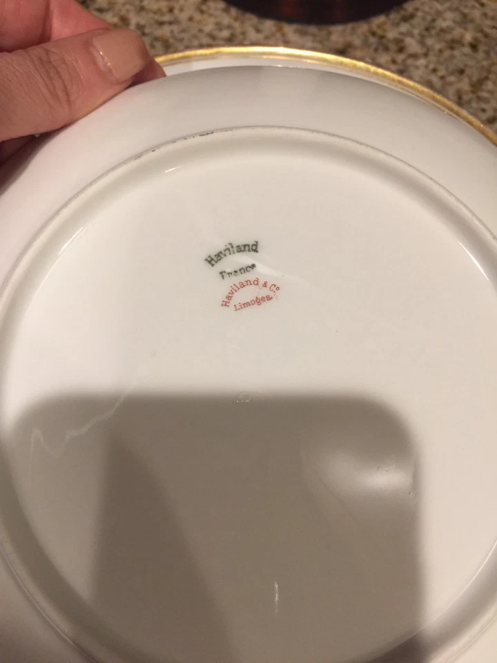 Haviland & Co Limoges para Howell-Dohrmann 5 platos de cena y 3 ensaladas Foto 4 de 4