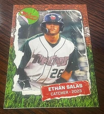 10 ETHAN SALAS 2023 Fort Wayne TinCaps Padres HIGH A #31 Rookie RC UPDATE X10