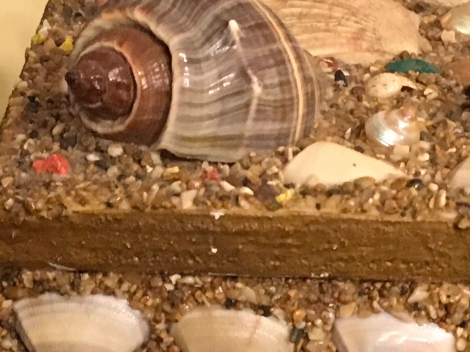 Sea Shell Art Shellwork Box Maritime Sailor Souvenir Handmade | eBay