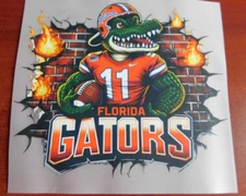 Florida Gators 8" DTF Heat Transfer Iron On FREE Shipping   (7)