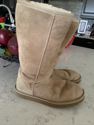 ugg boots 5815