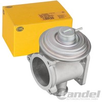Hella AGR-VENTIL AbgasrÜCkfÜHrungsventil Passend FüR BMW 1 3 5 7 X3 X5 X6 | 6NU