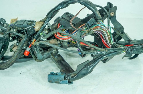Arnés de cableado principal 13 Harley Sportster personalizado OEM telar encendido NOKey 1357 - Imagen 10 de 24