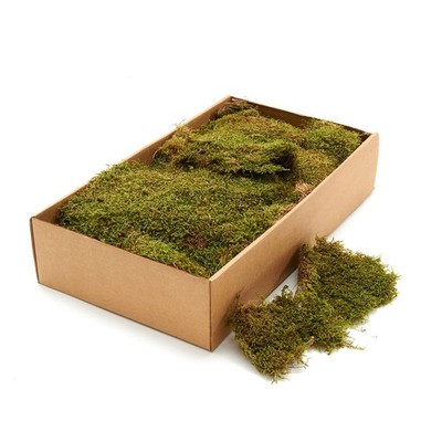 NaDeco Lappenmoos 1kg Natur getrocknet Moosplatten Deko Bastelmoos unbehandelt