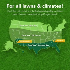Fast-growing Biodegradable Grass Seed Mat - 50 Sq Ft For All Light Conditions Fast-growing Biodegradable Grass Seed Mat - 50 Sq Ft For All Light Conditions