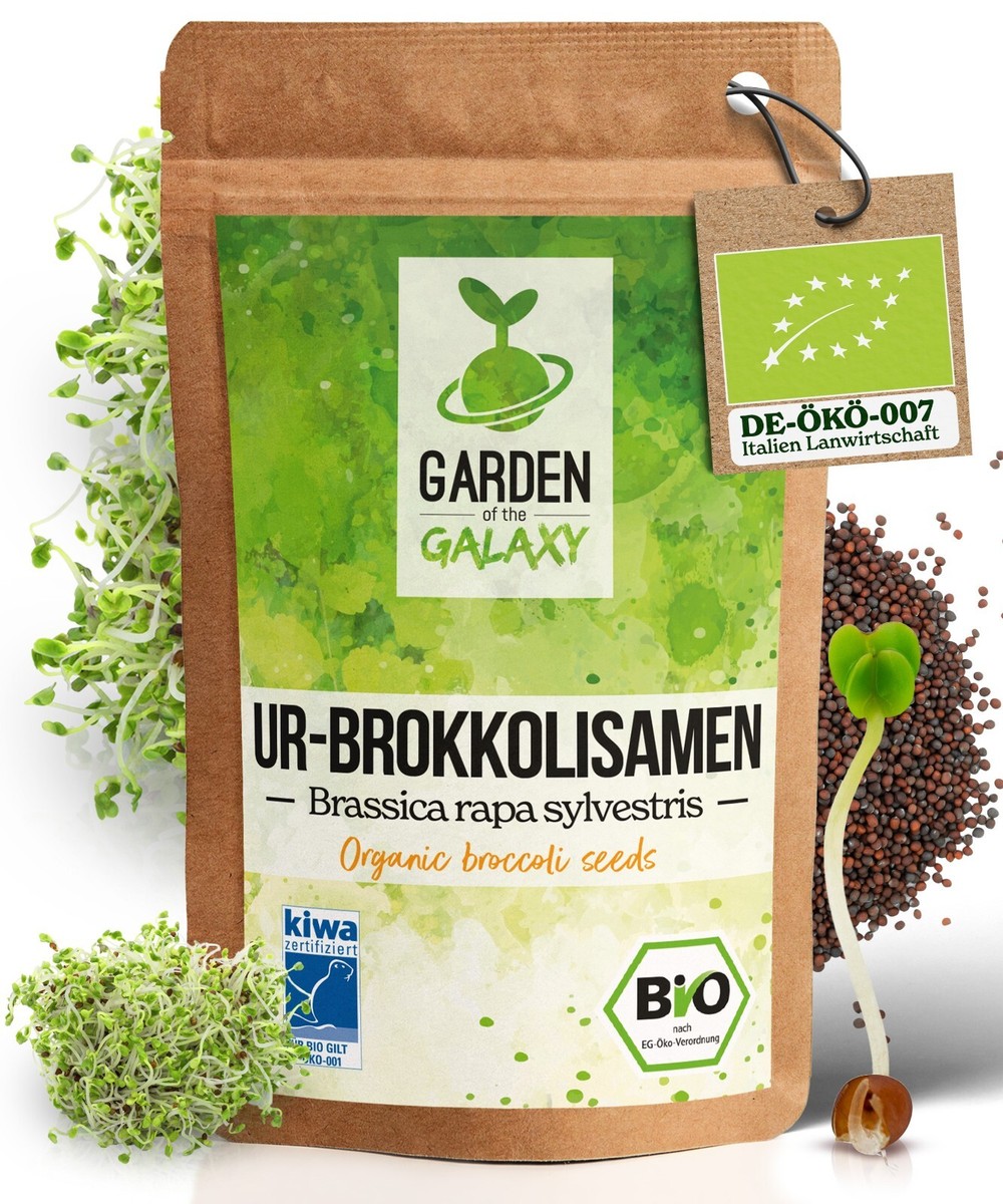 Bio Brokkolisamen Brokkoli ko Keimsprossen - Brokkolisprossen Sprossenzucht