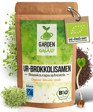 Bio Brokkolisamen Brokkoli Öko Keimsprossen ...