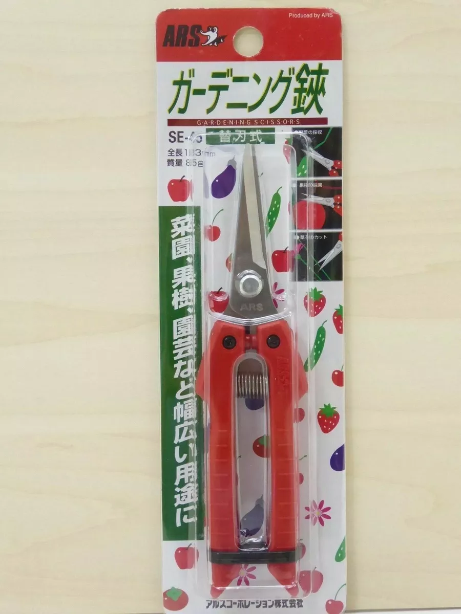 Ars snips cheap