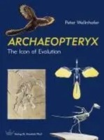 Archaeopteryx | The Icon Of Evolution | Peter Wellnhofer | Englisch | Buch