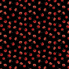 Timeless Treasures Poppy Passion Tiny Red Poppies Cotton Fabric by the Yard