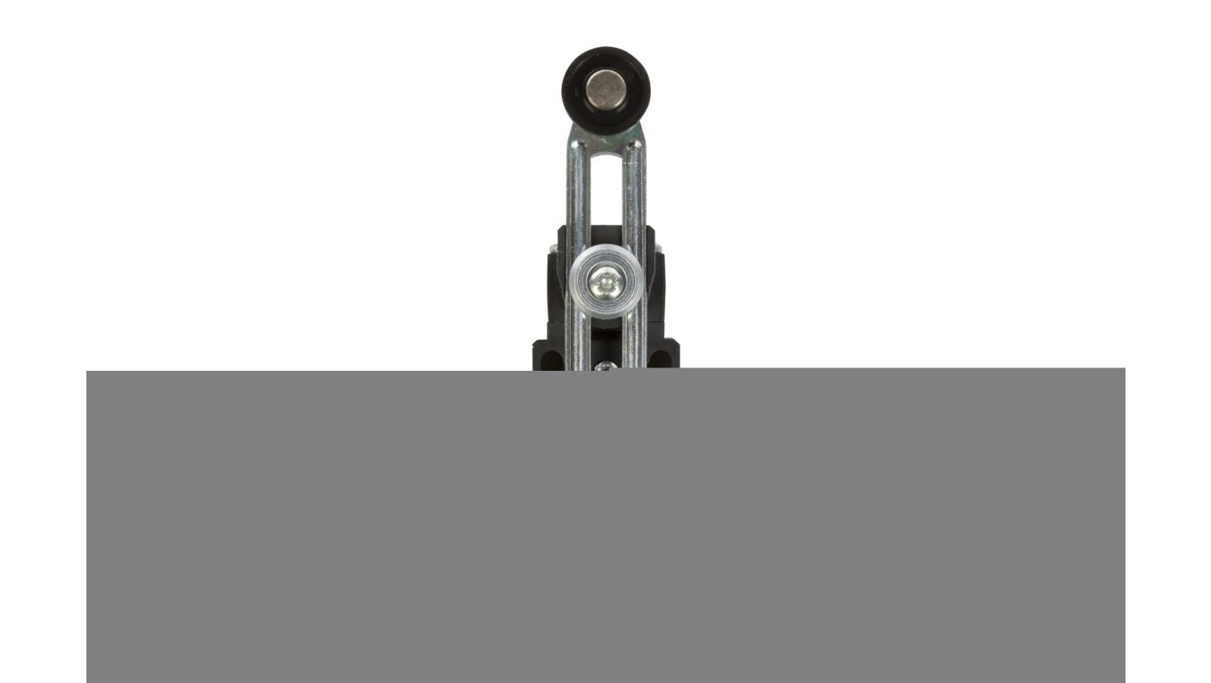 1R 1Z Limit Switch Flashing Plastic PAP1 A37-1110