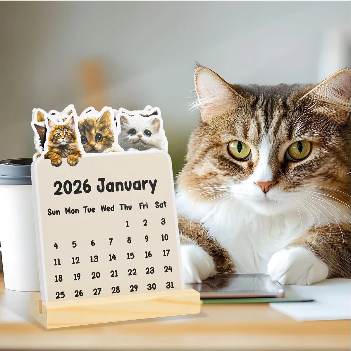 Small Cat Desk Calendar 2026, Mini Cat Desk Calendar