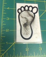 Bigfoot Hair Sample on Laminated Info Card - Great Novelty Item for gift of keep
