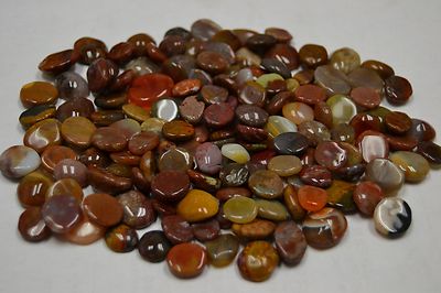 120+ PCS JASPER AGATE GEM STONE CHIPS HEALING 1/2 POUND #T-699MIX