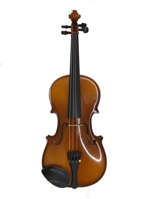 Hofner Violin BRW Used