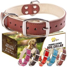 Heavy-Duty Leather Dog Collar for Medium Dogs - Soft Padded for Comfort - Med...