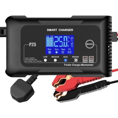 Batterieladegerät 25A 12V/24V Auto Motorrad Boot Lithium AGM GEL EFB