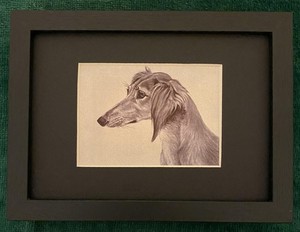 Saluki MATTED | FRAMED | READY TO GIFT - 1986 Vintage Dog Art Print