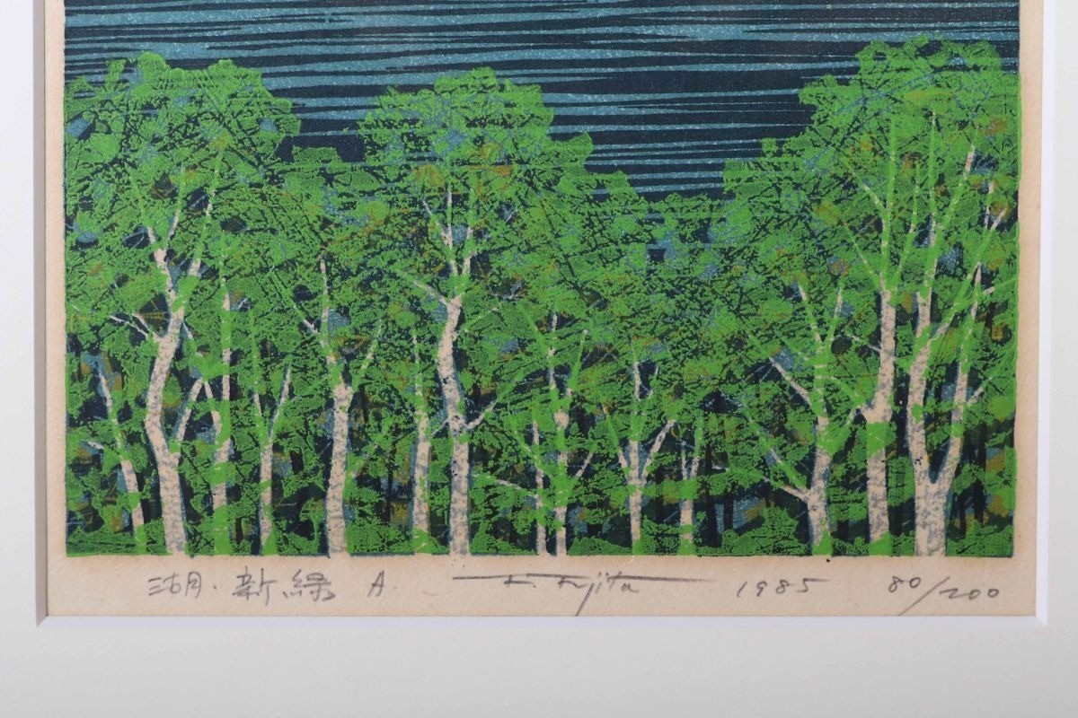 Fumio Fujita Lake Fresh Green A 1985 Japanese Woodblock Print