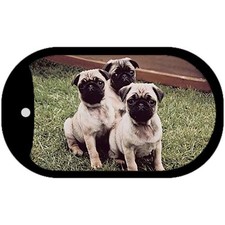 Pug Novelty Metal Dog Tag Necklace 2" x 1"