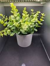 Faux Potted Green Plant in White Planter 5 x 9