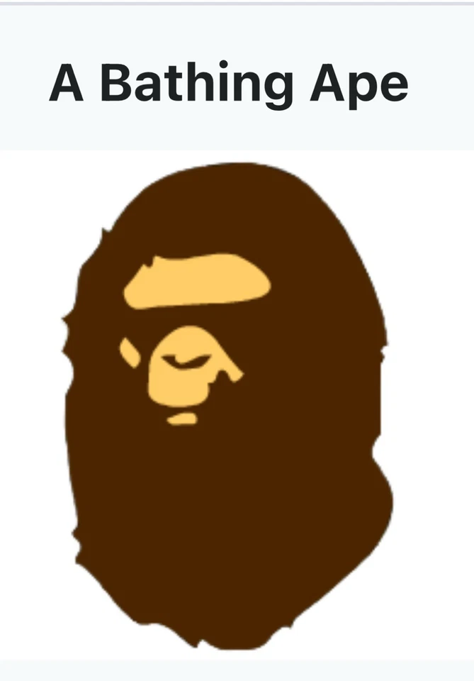 Bolso de Mano/Mochila Multi Camuflaje A Bathing Ape Foto 4 de 4