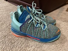 Nike LeBron James XVIII 18 GS We Are Family CW2760-300 Youth Size 4Y Green Abyss