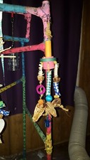 parrot foraging toys