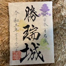 Goshuin Shengrui City Yucheng Seal Limited Edition Japanese Paper Ink Stamp Use