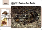Dr Jim Stamps Maximum Card Forever Pets Tortoises Box Turtle Combo Fdc