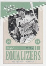 2019 Joe DiMaggio Leather & Lumber EQUALIZERS Insert /25 - #9 NY Yankees