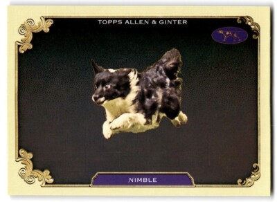 2024 Topps Allen & Ginter Stars of Show Nimble Westminster Kennel Club #SOS-34