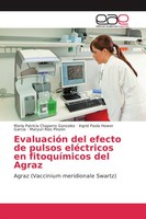 Maria Patricia Chaparro Gonzalez (U. A.) | EvaluacióN Del Efecto De Pulsos...
