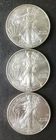 Lot of Three 2008 $1 American Silver Eagle Dollars