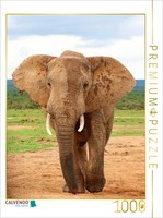 Calvendo Puzzle Elefant | 1000 Teile Lege-GrößE 64 × 48 Cm Foto-Puzzle FüR GlüCk