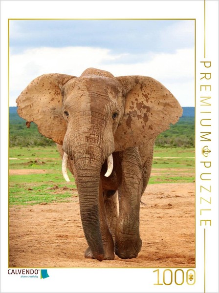 Calvendo Puzzle Elefant | 1000 Teile Lege-GrößE 64 × 48 Cm Foto-Puzzle FüR GlüCk-image