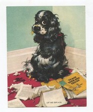 Vintage 1940s Butch Albert Staehle Cocker Spaniel Dog Commercial Calendar Print