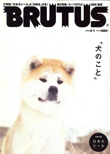 Used Brutus 2008.Vol 3/1 Style & Culture Magazine Japanese book form JP