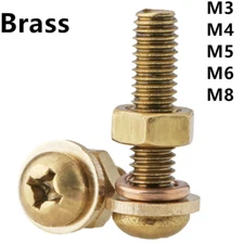 Brass Phillips Pan Head Screws With Hex Nuts Flat Washers Spring Washers M3-M8