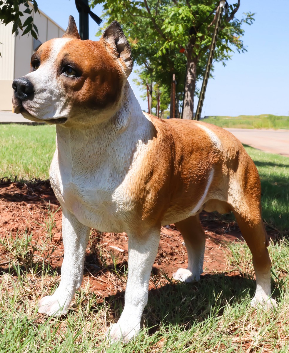 Large Lifelike Realistic American Pit Bull Terrier Dog Statue